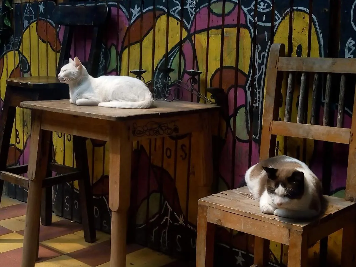 Homestay Casa De La Luna Apartment Medellin